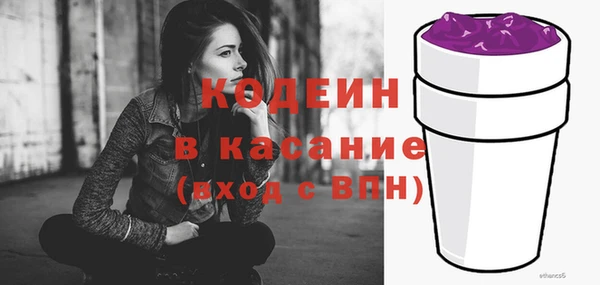 гашик Алексин
