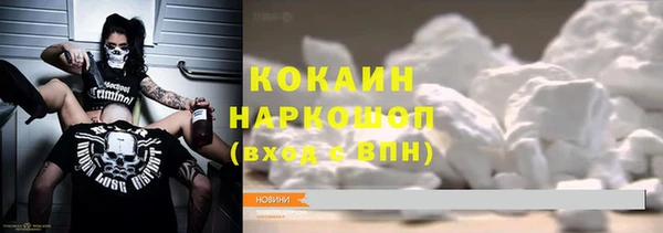 гашик Алексин