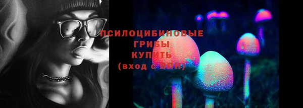 дмт Арсеньев