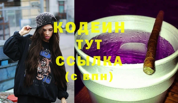 шишки Переславль-Залесский