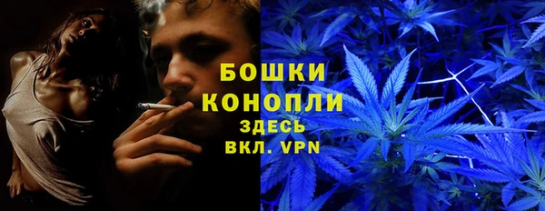 молекула духа Алзамай