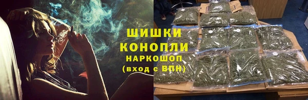 дмт Арсеньев