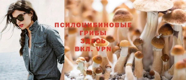 гашик Алексин