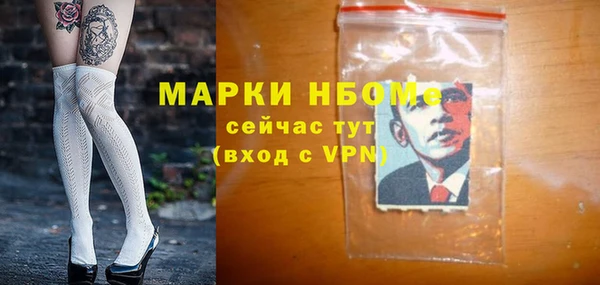 гашик Алексин