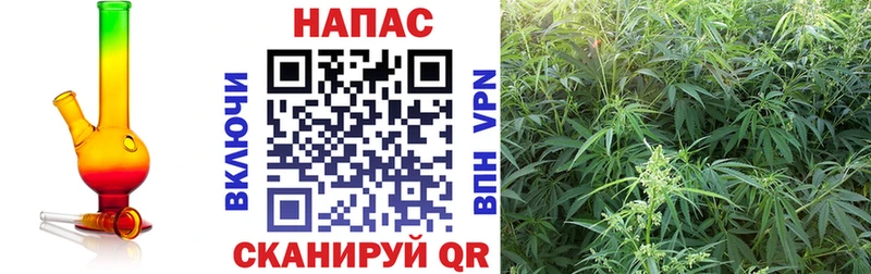 Купить закладки  Белореченск  Шишки марихуана тримм 